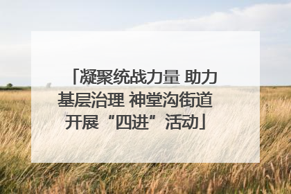 凝聚统战力量 助力基层治理 神堂沟街道开展“四进”活动